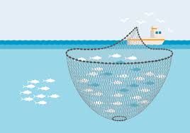 Commercial Fishing Nets Market Report : Market Size Expected to Approach 13.2 billion yuan by 2030